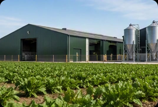 Agriculture and food production